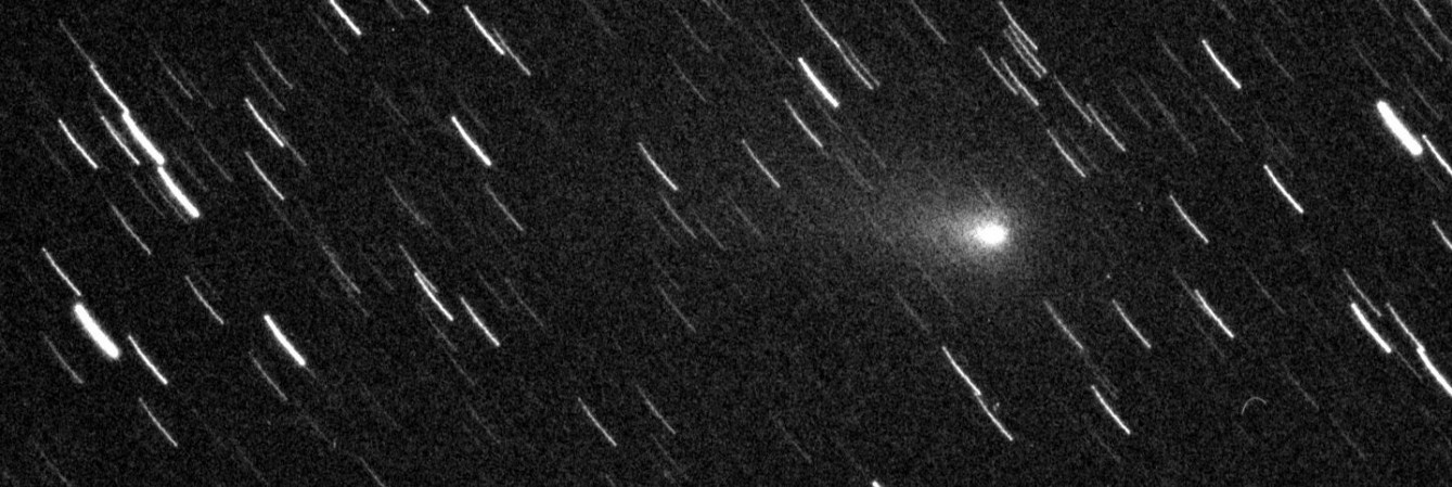 Bild: Komet 73P Schwassmann-Wachmann  (Observatorium Hoher List)