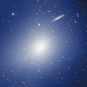 ESO/HST picture release: HAWK-I and Hubble Explore a Cluster with the Mass of two Quadrillion Suns