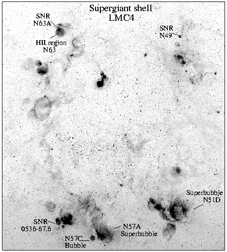 [Fig. 1]