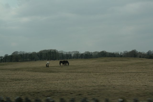 IMG_9474.JPG