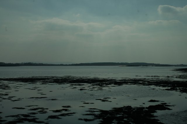 IMG_9491.JPG
