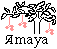 Amaya Logo