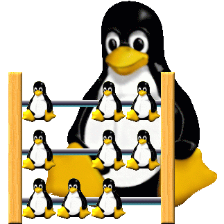 Big Linux Counter Logo