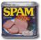 Spam Icon